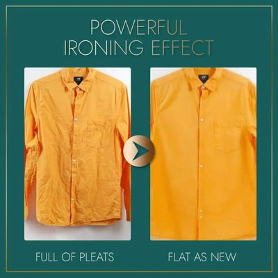 Portable Mini Steam Iron